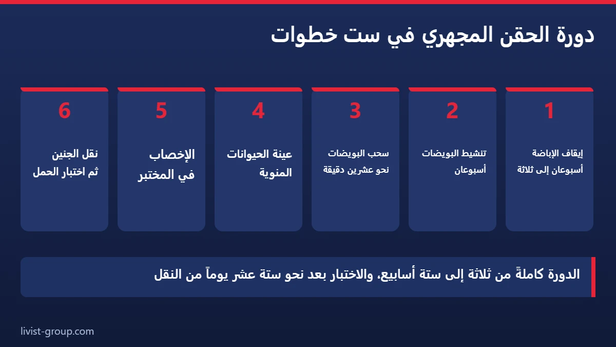 دورة الحقن المجهري في ست خطوات كما تصفها هيئة الخدمات الصحية الوطنية البريطانية