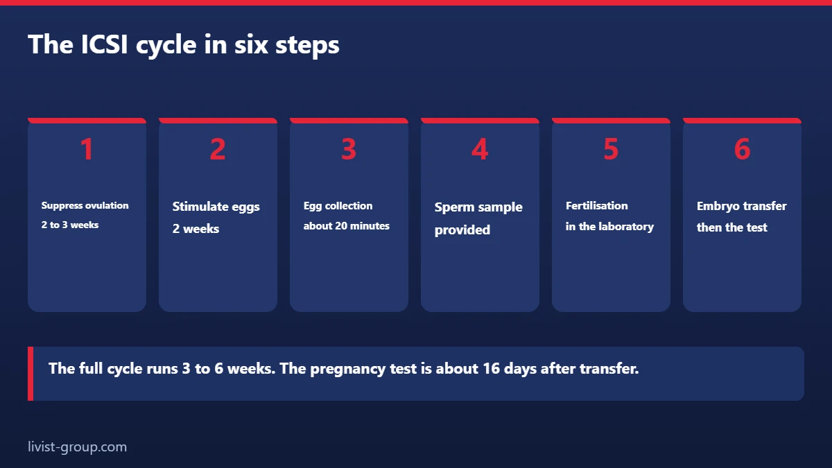 The six steps of an ICSI cycle as described by the UK National Health Service